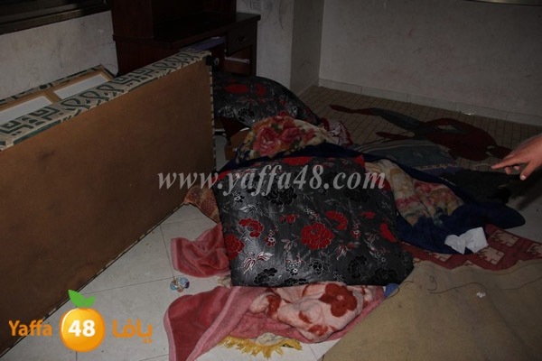 modahama lud 0216 (11).JPG